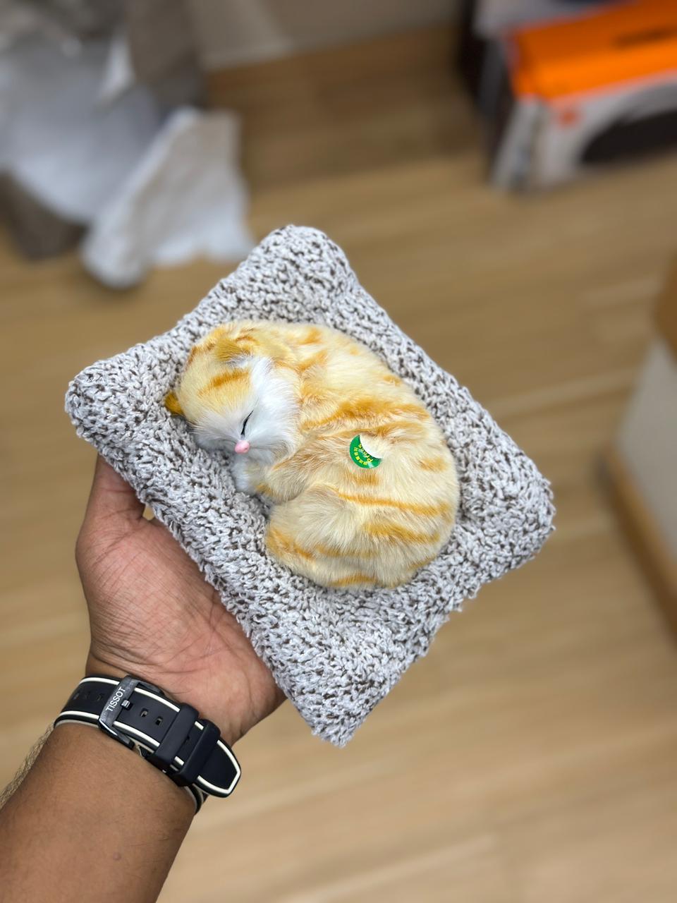SLEEPING CAT