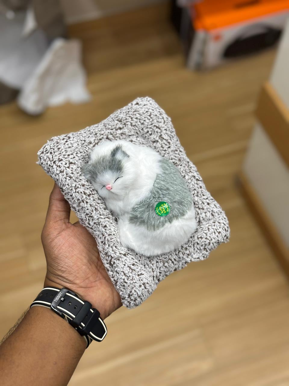 SLEEPING CAT
