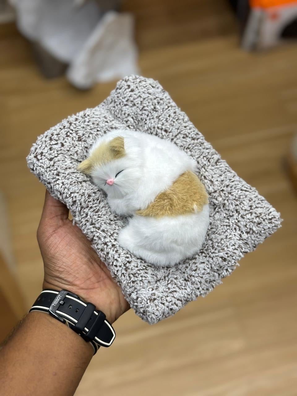 SLEEPING CAT