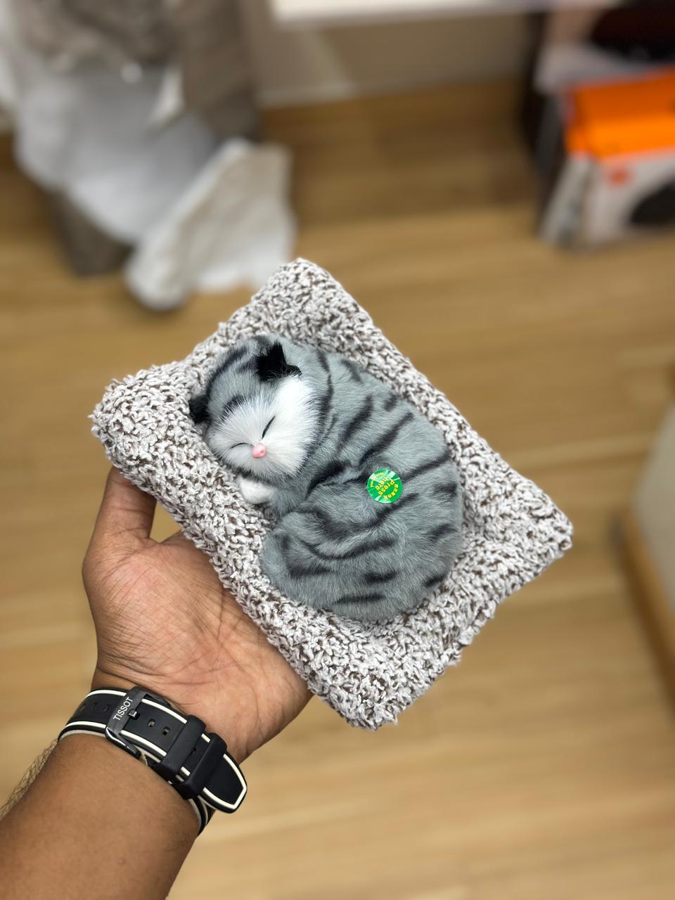 SLEEPING CAT