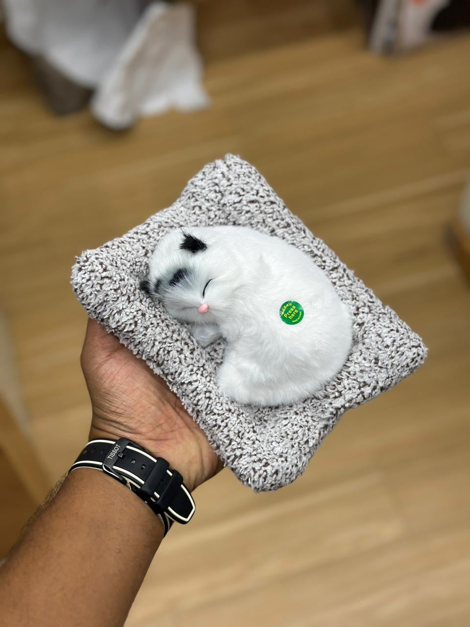 SLEEPING CAT