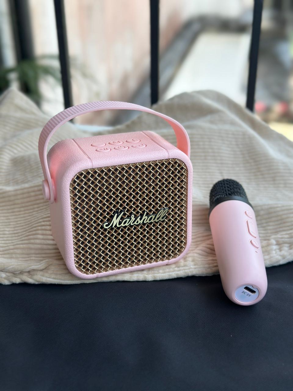 TWO IN 1 - SPEAKER  + MIC