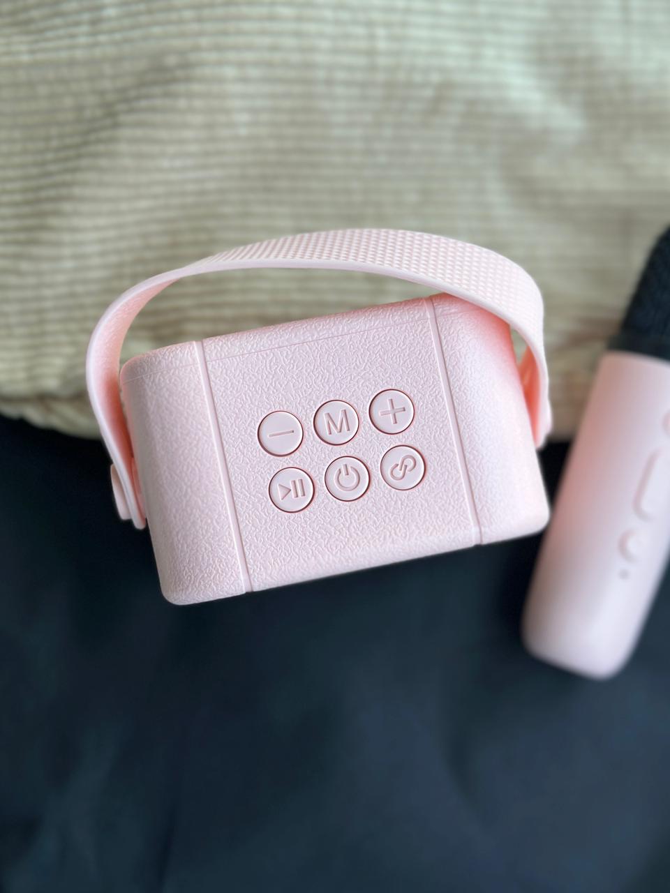 TWO IN 1 - SPEAKER  + MIC