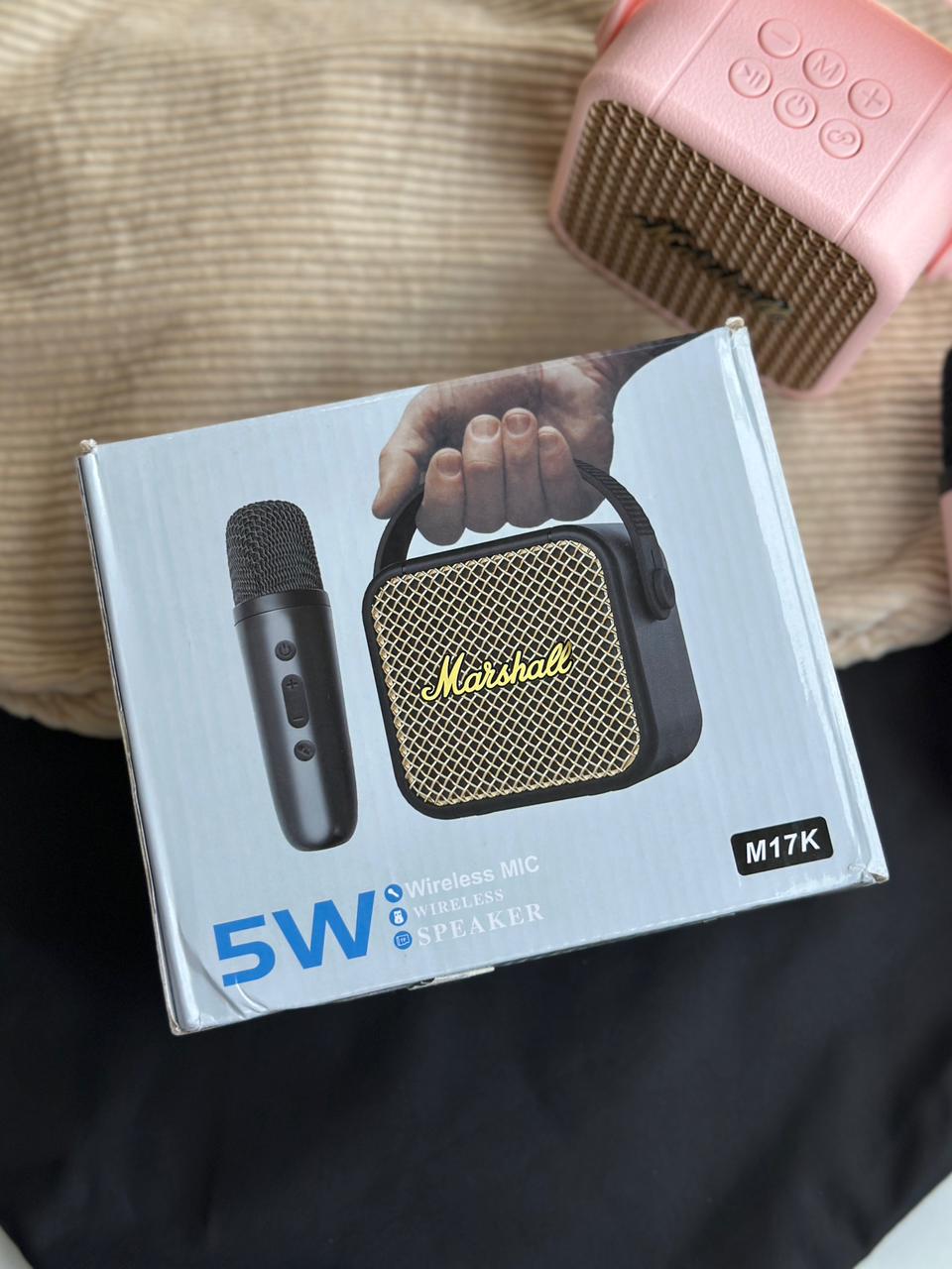 TWO IN 1 - SPEAKER  + MIC