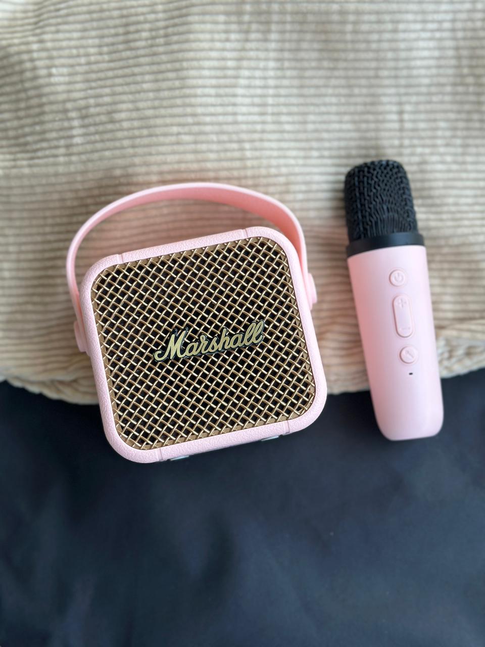 TWO IN 1 - SPEAKER  + MIC