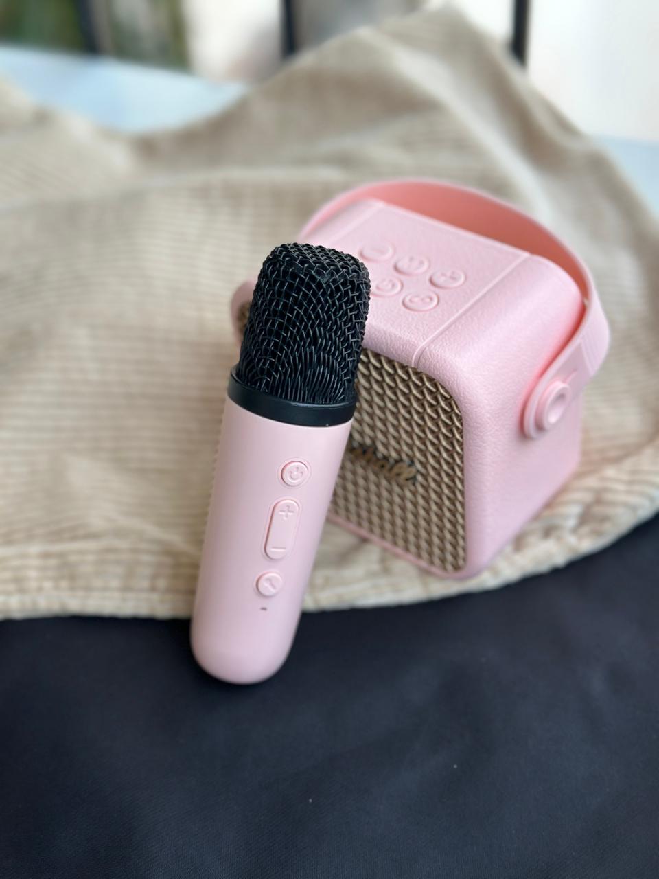 TWO IN 1 - SPEAKER  + MIC