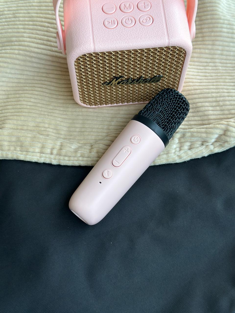 TWO IN 1 - SPEAKER  + MIC